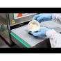 Ilpra FP Basic vaschetta cartone provola